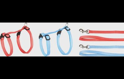 HARNAS MET LOOPLIJN VOOR KITTENS AIWA  15-25CM X 10MM