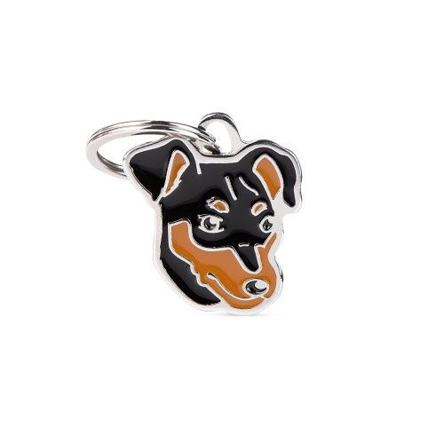 Vrienden Pinscher Zwart ID