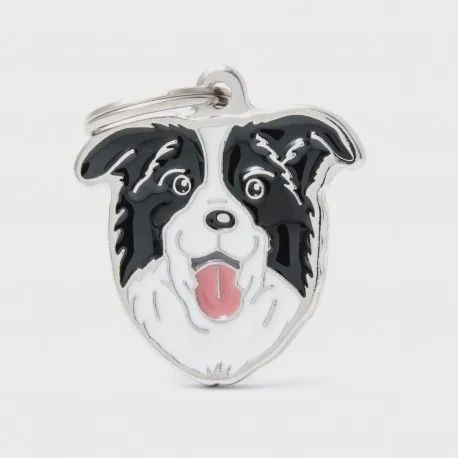MyFamily Penning Border Collie