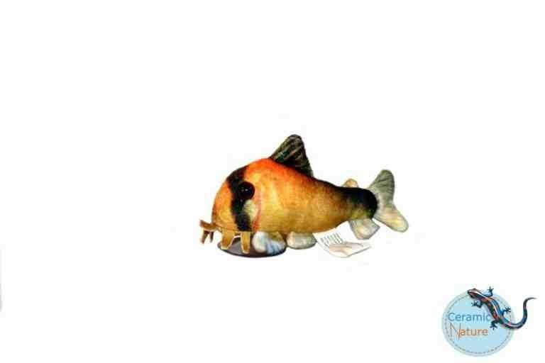 Metae corydoras plush