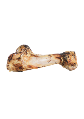 Dino XL Kivo bot