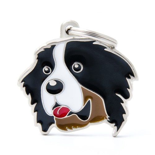 Berner hondenpenning