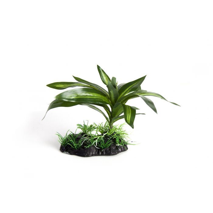 RepTech Terrarium Plant Single Bromeliad