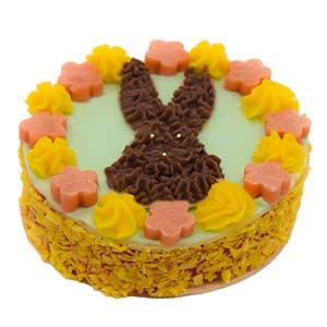 Honden/katten Paastaart