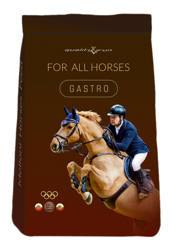 GASTRO 25 KG - bezzbożowa