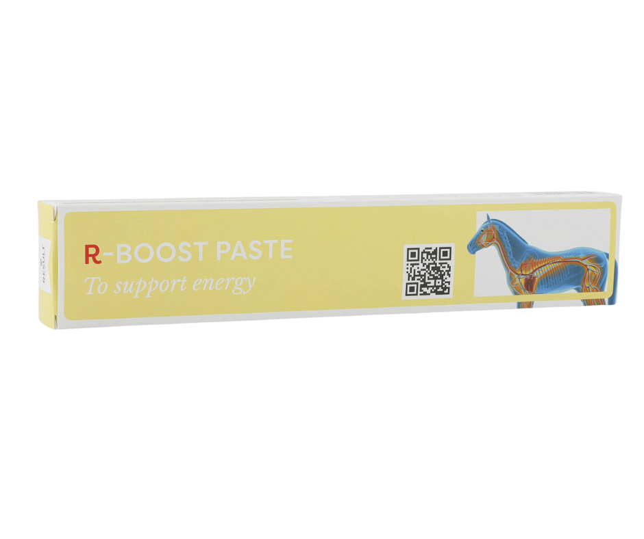 R-BOOST PASTE Result