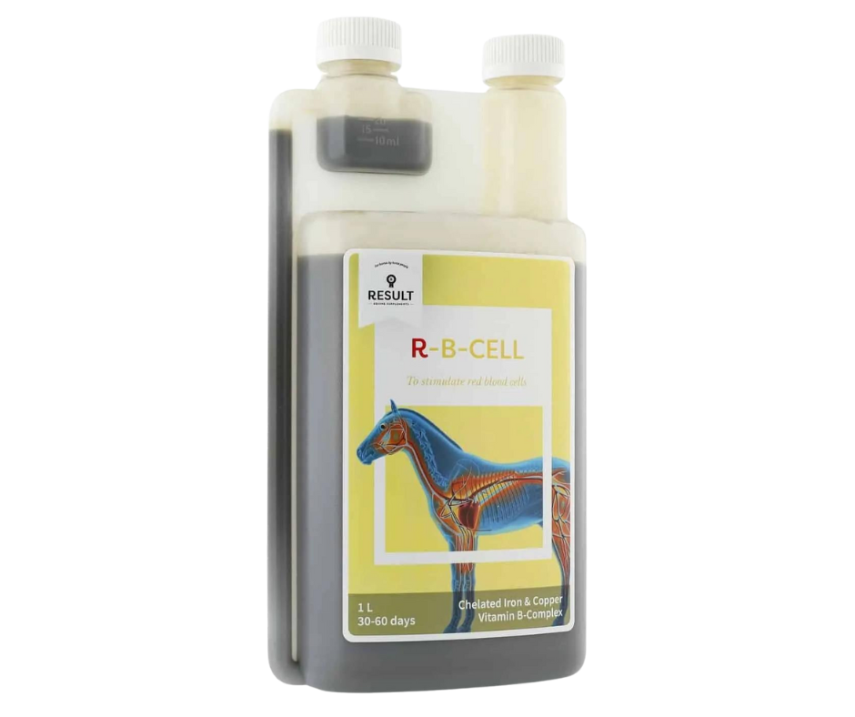 R-BCELL Result 1L