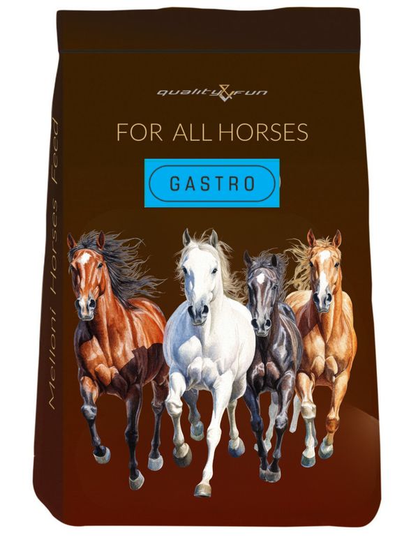 GASTRO 25 KG - bezzbożowa