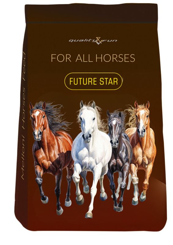 FUTURE STAR 25 KG -źrebiąt pow. 1 roku