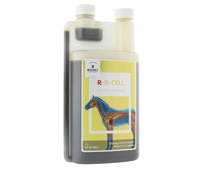 Suplement R-BCELL Result 1L