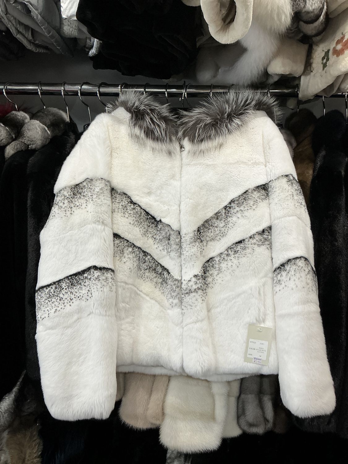 Dyed Rabbit with Silver Trim