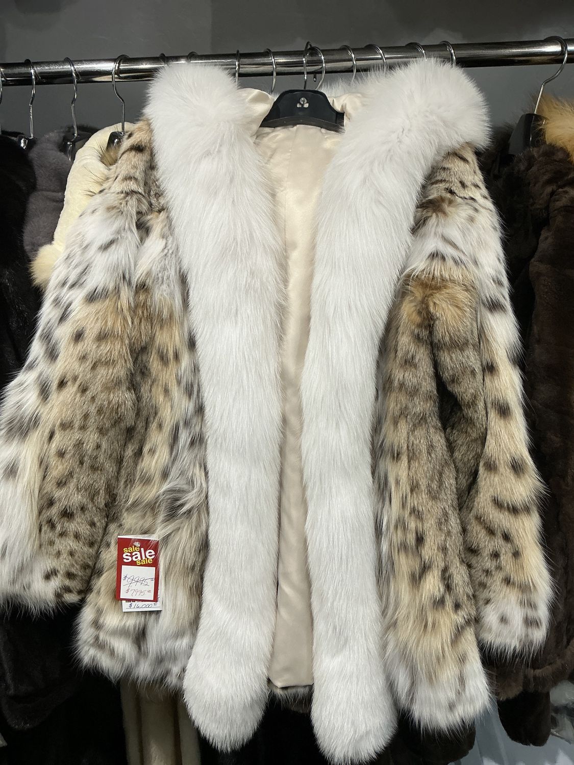 Natural Lynx w White Fox