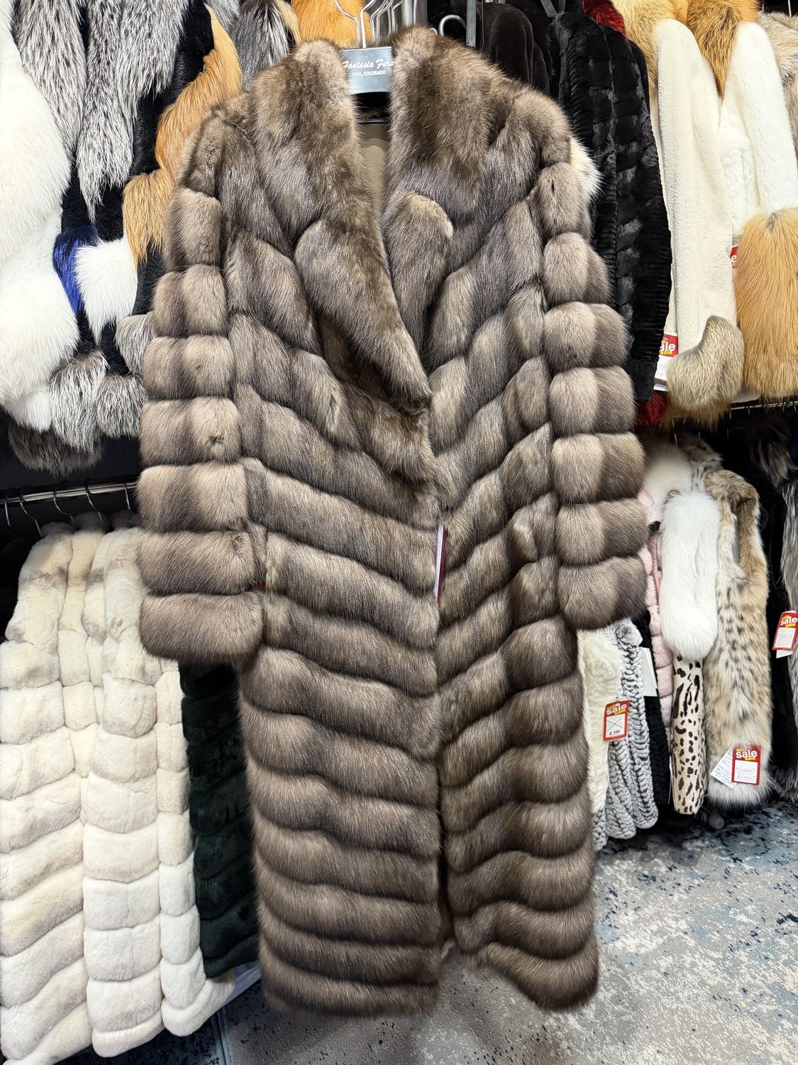 Natural Platinum Sable Coat