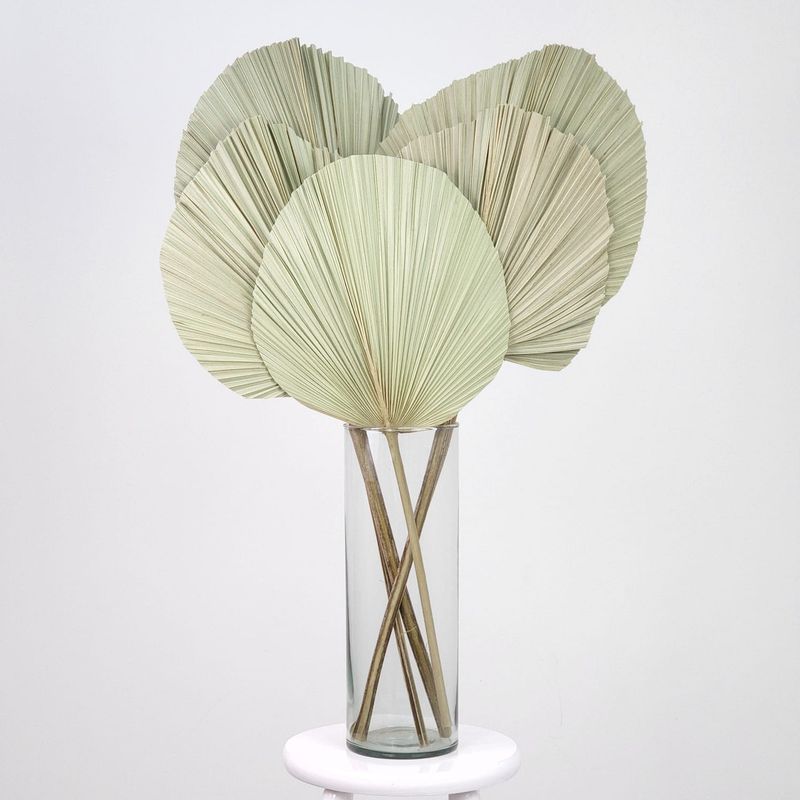 Dried Flowers Arrangement Single Face  Palmeira Fan + Cylinder Vase Colorless Gg