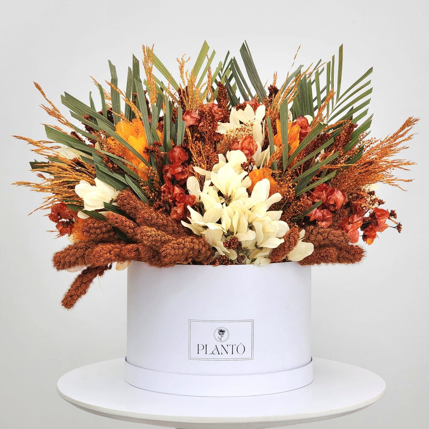 Box Of Dried Flowers  Tropicalism With White Box G