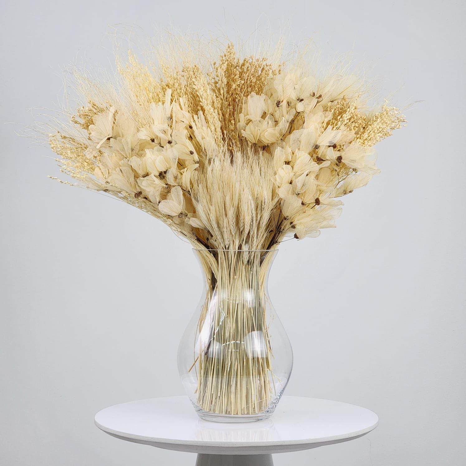 Dried Flowers Arrangement Single Face Classic Dragonfly And Asparagus + Glass  Vase