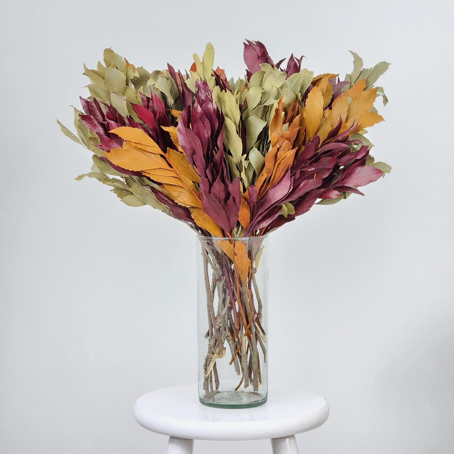 Dried Flowers Arrangement Single Face  Oak Foliage + Colorless Vase