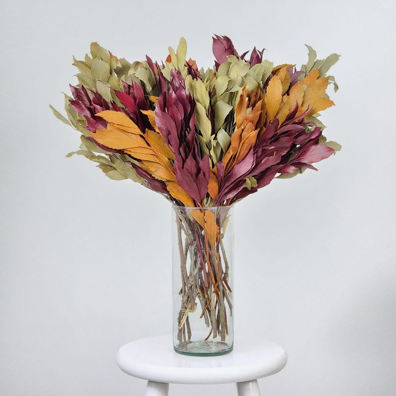 Dried Flowers Arrangement Single Face  Oak Foliage + Colorless Vase