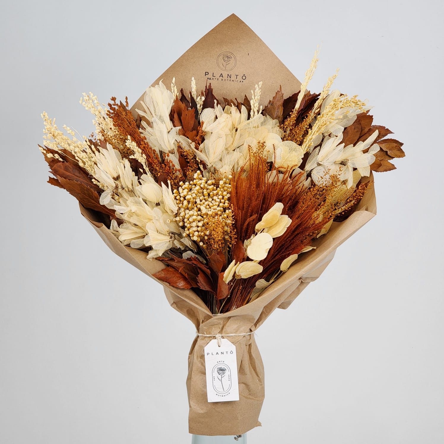 Bouquet Of Dried Flowers  With Broom And Deposit Bud - No Vase