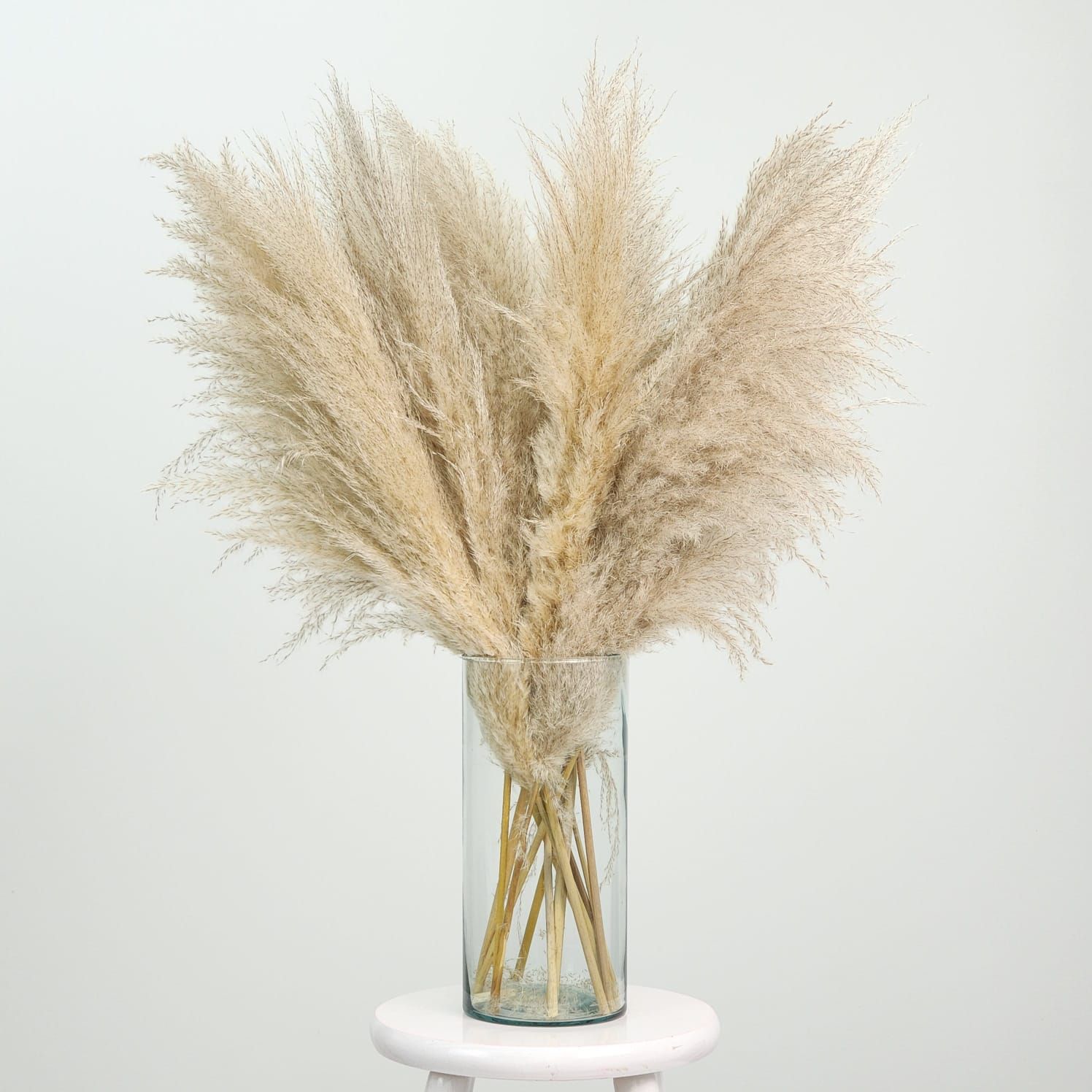 Dried Flowers Arrangement Double Face  Pampas Grass + Colorless Cylinder Vase G