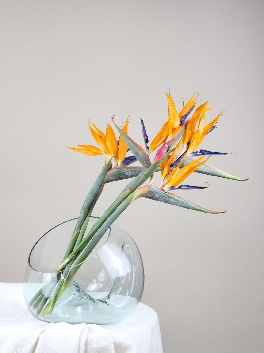 Exclusive Blown And Dented Glass Vase 025 - Casa Planto By Cristaleria