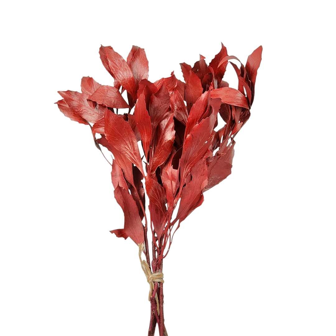 Dried Flowers Plant Red Oak Foliage - Set With 05 Branches