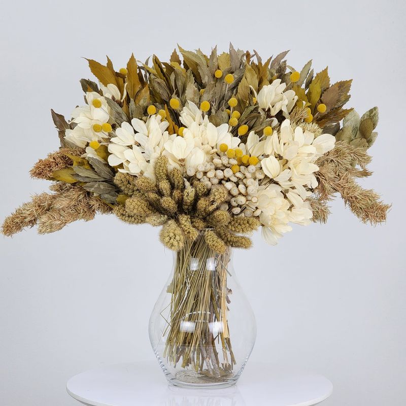 Dried Flowers Arrangement Single Face Rare  Craspedias + Vase In  Glass