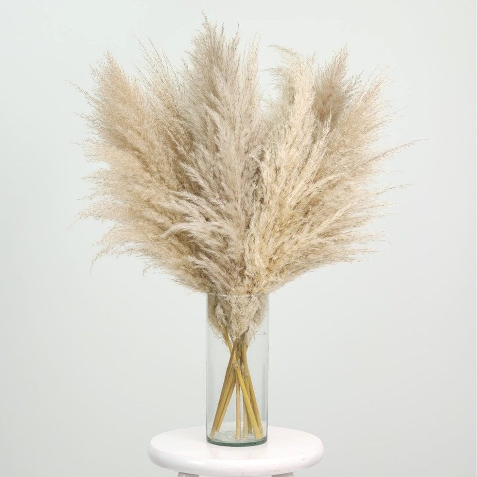 Dried Flowers Arrangement Double Face  Pampas Grass + Colorless Cylinder Vase M