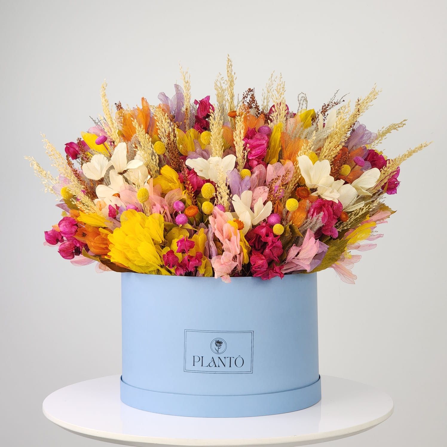 Box Of Dried Flowers  Flourish With Light Blue Box G