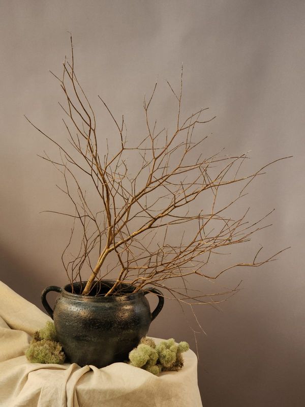 Exclusive Handmade Ceramic Vase 010 - Casa Planto By Vera Flesch