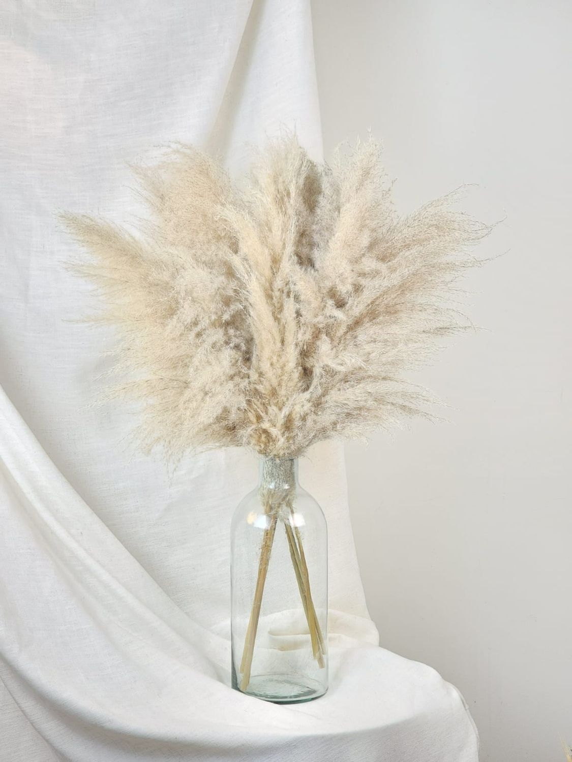 Dried Flowers Arrangement Double Face Pampas Special + Floor Vase Cylinder  M
