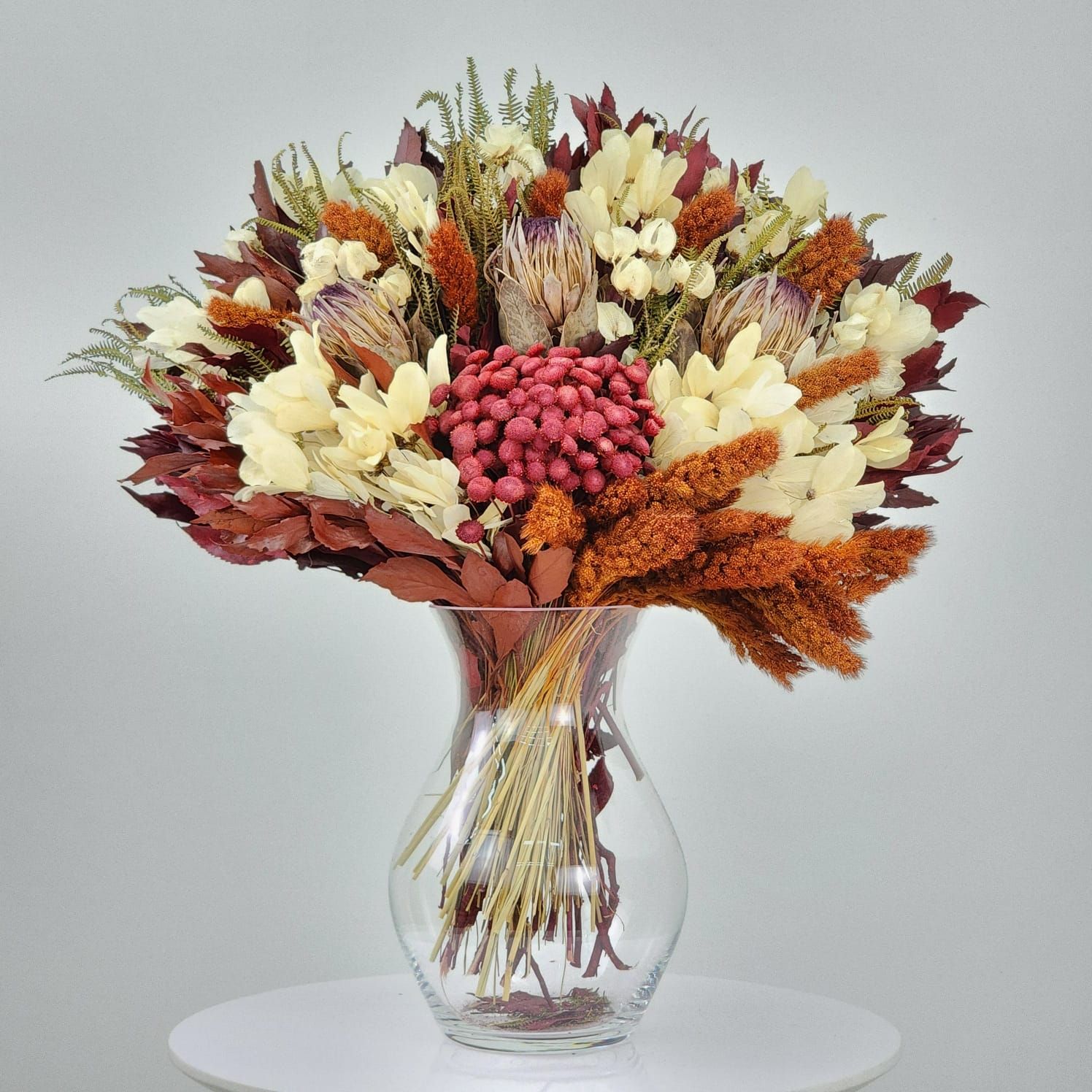 Dried Flowers Arrangement Single Face Rare  Proteas Eximias + Glass  Vase