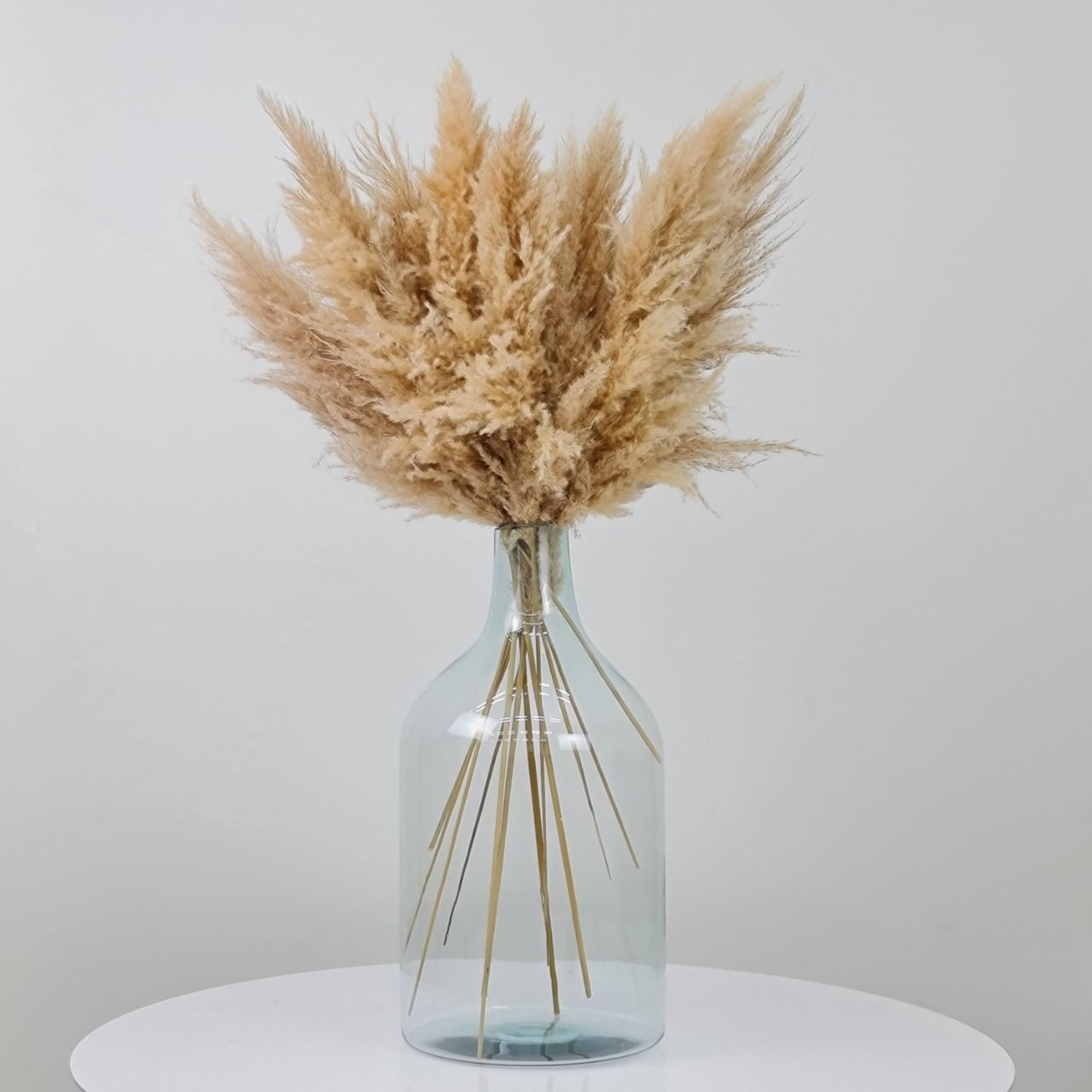 Dried Flowers Arrangement Double Face Pampas + Floor Vase Circular Gallboy Colorless Gg