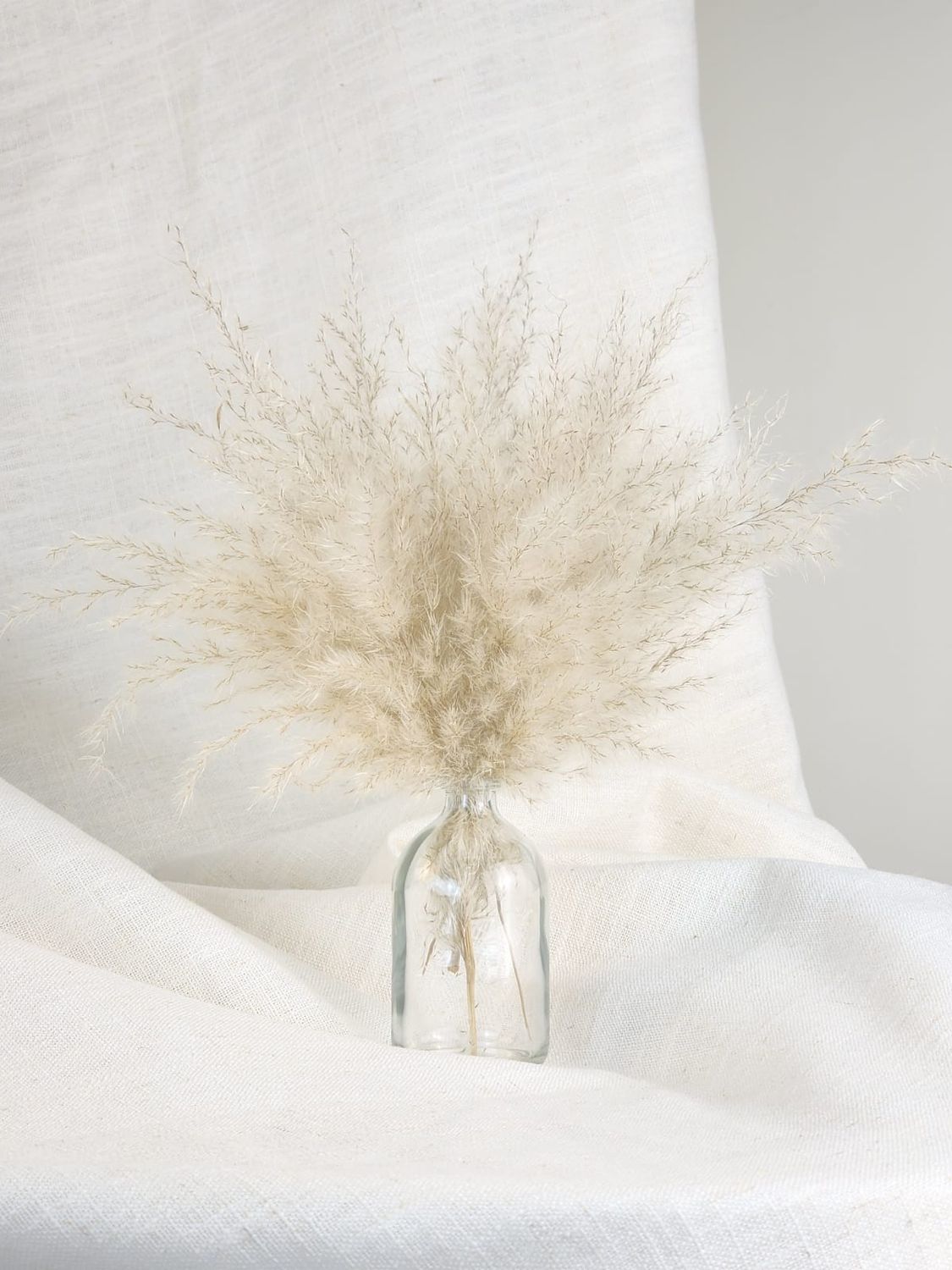 Mini Double Face Arrangement Of Pampas Grass + Small Colorless Vase