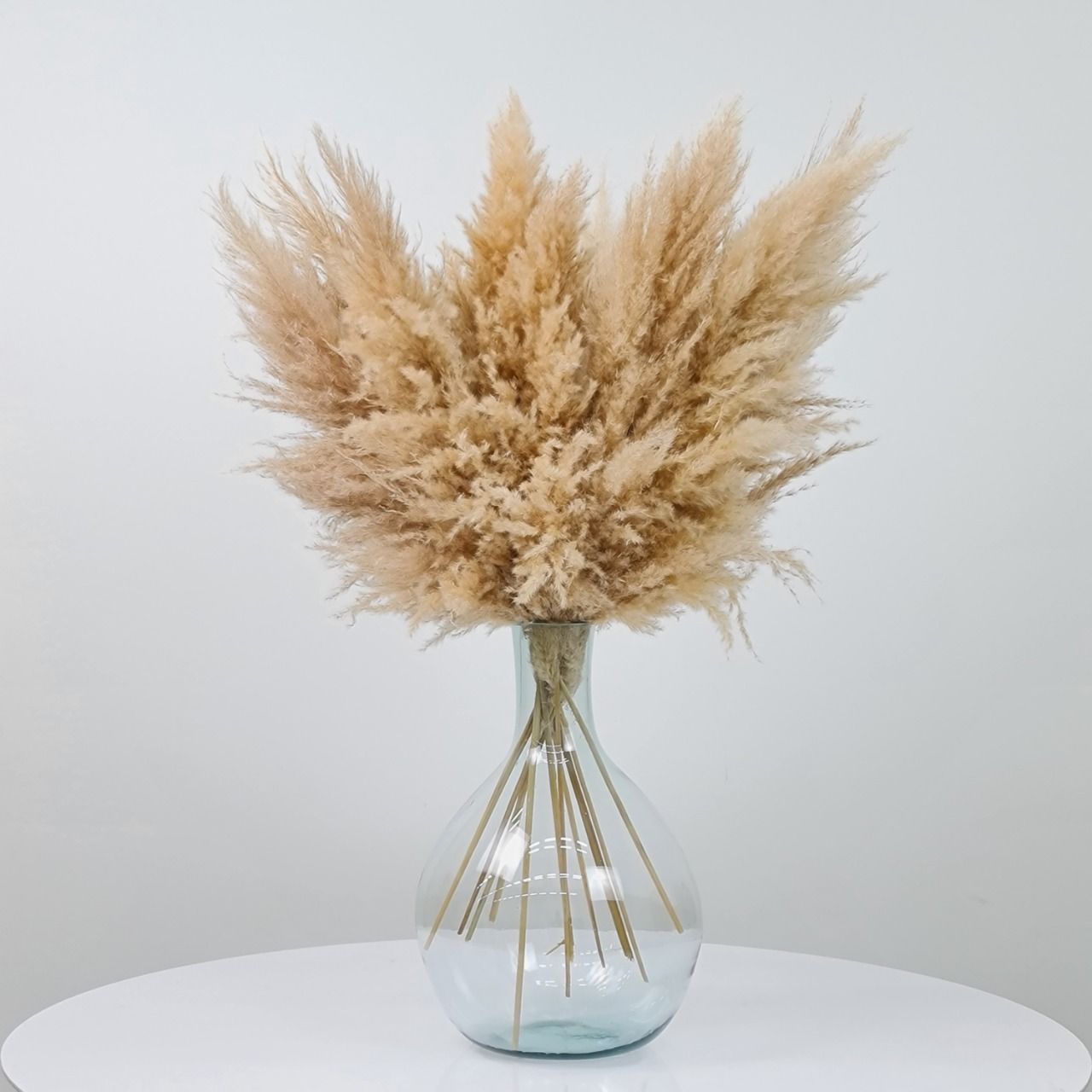 Dried Flowers Arrangement Double Face Pampas + Floor Vase Round Colorless Jug G