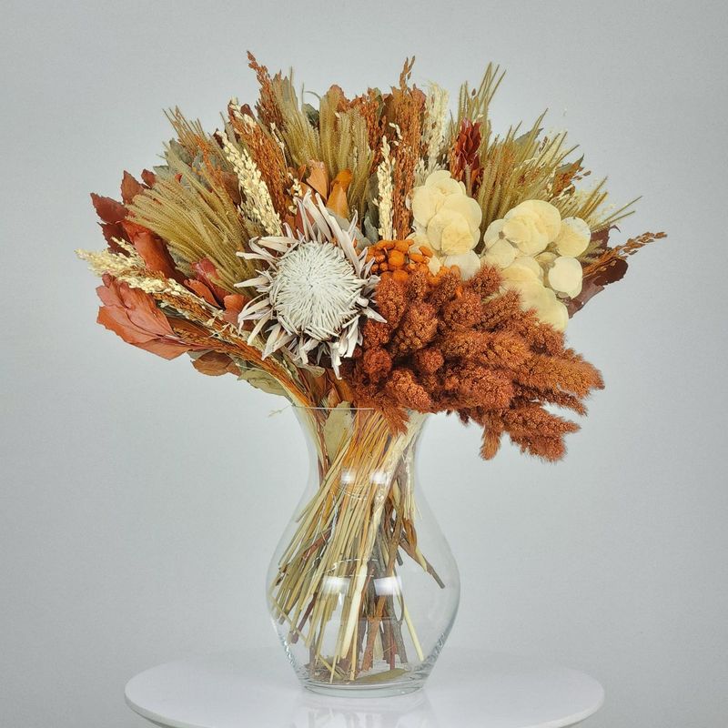 Dried Flowers Arrangement Single Face Rare  Protea King Orange + Glass Vase