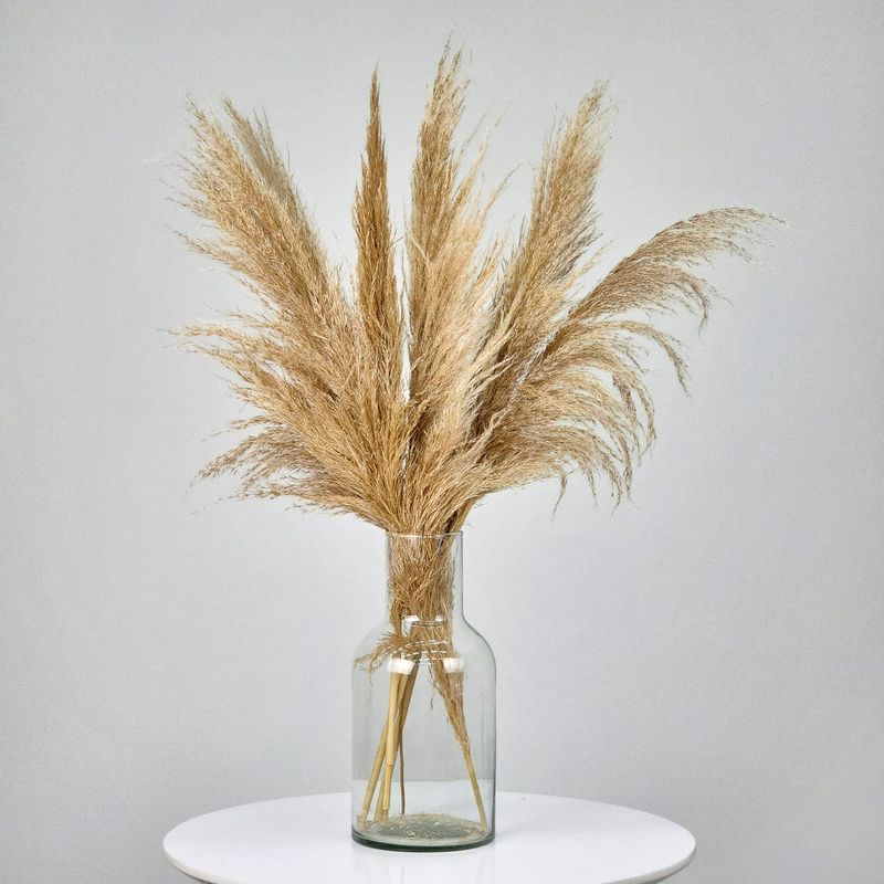 Dried Flowers Arrangement Double Face  Pampas Grass 7 Stems + Colorless Vase