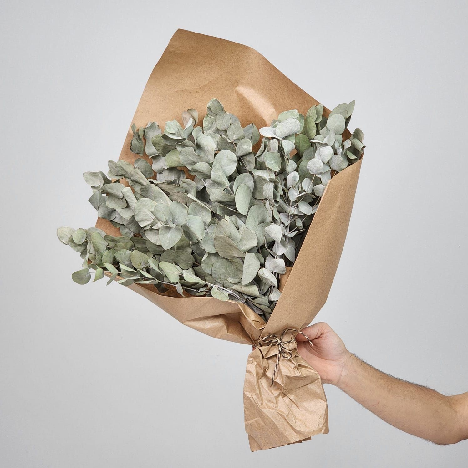 Dried Flowers Arrangement  Eucalyptus Foliage - No Vase
