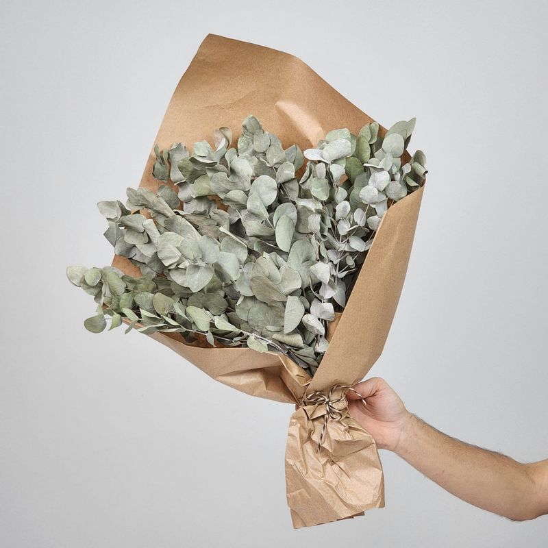Dried Flowers Arrangement  Eucalyptus Foliage - No Vase