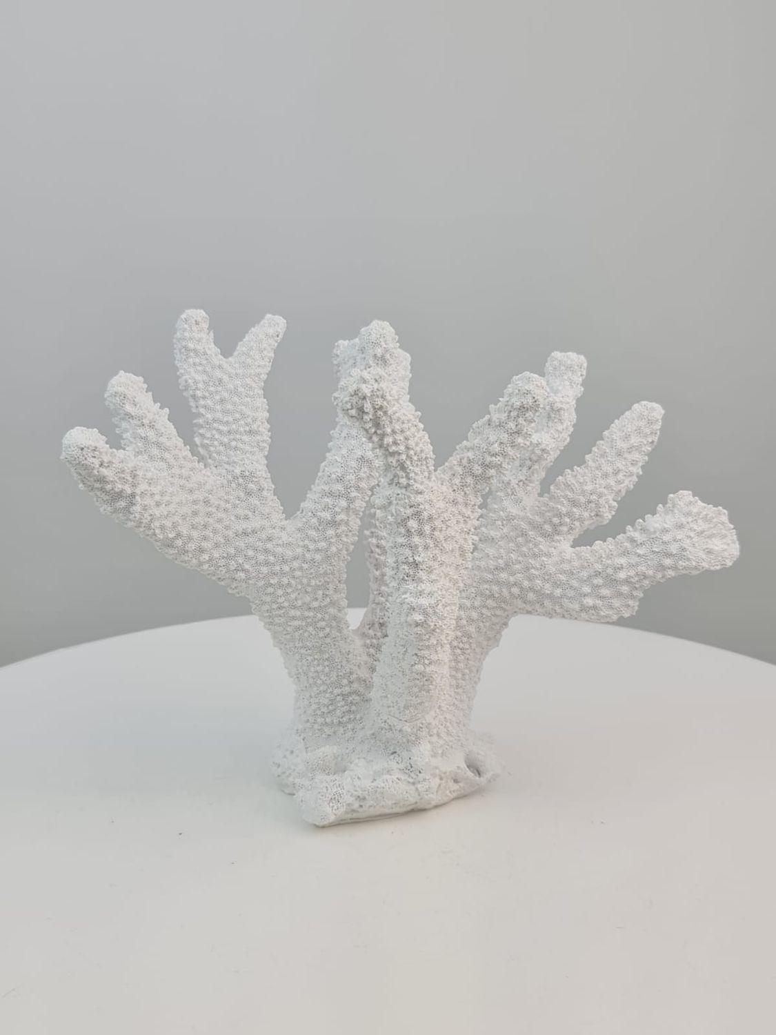 Large Decorative Coral In Polyresin