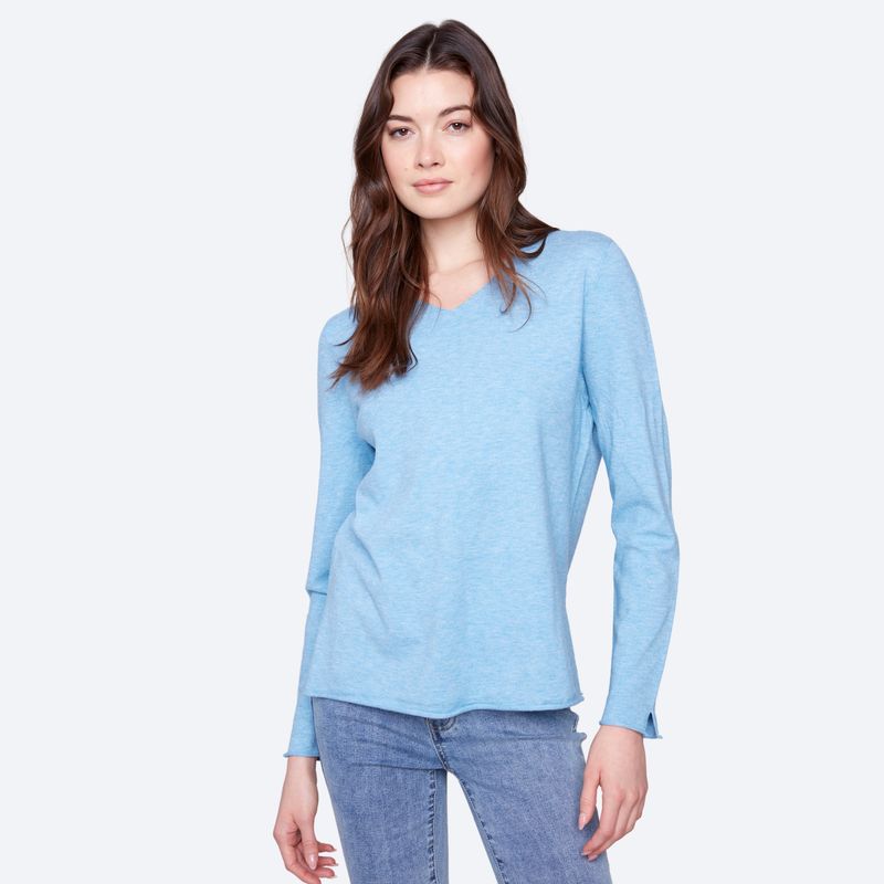 Long Sleeves V-Neck Sweater