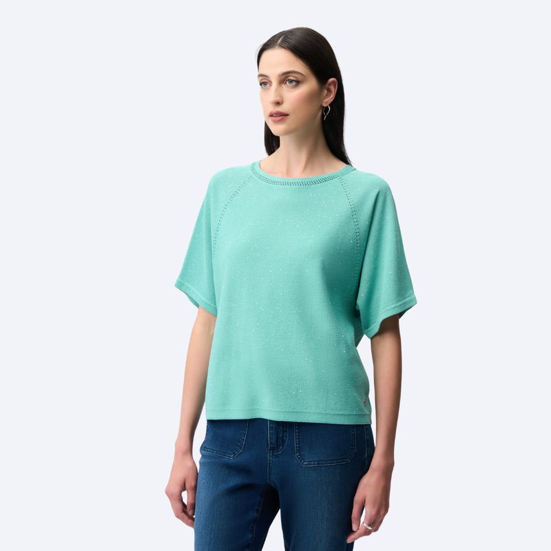 Sequins Yarn Short Sleeve Sweater