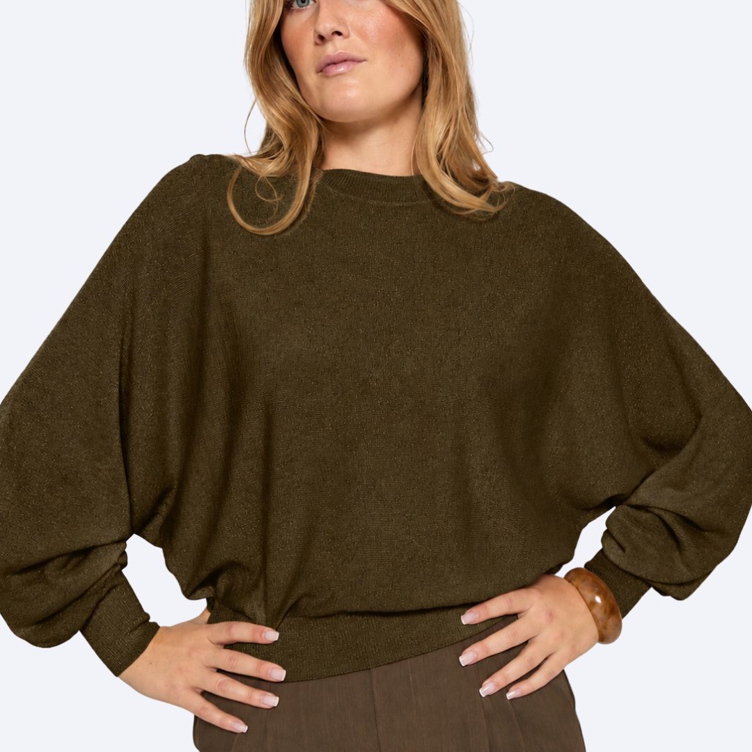 Dana Metallic Bat Sleeve Pullover