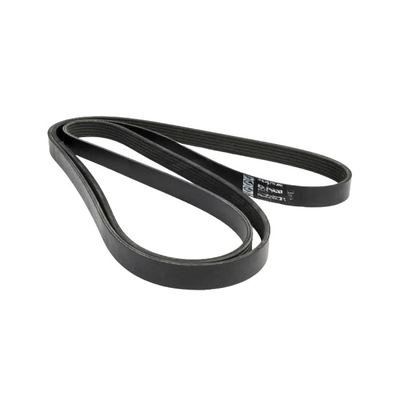 Dayco Polyrib Fan Belt