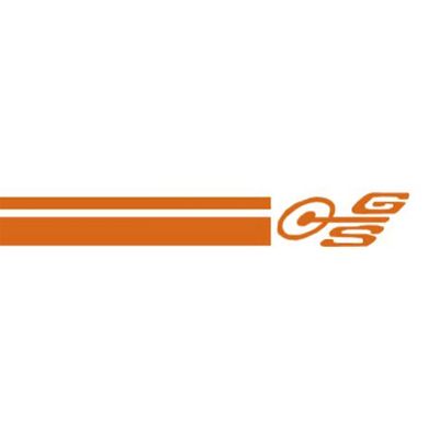FORD XW XY GS ORANGE STRIPE DECAL KIT