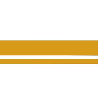 FORD XT FALCON GT GOLD REFLECTIVE STRIPE DECAL KIT
