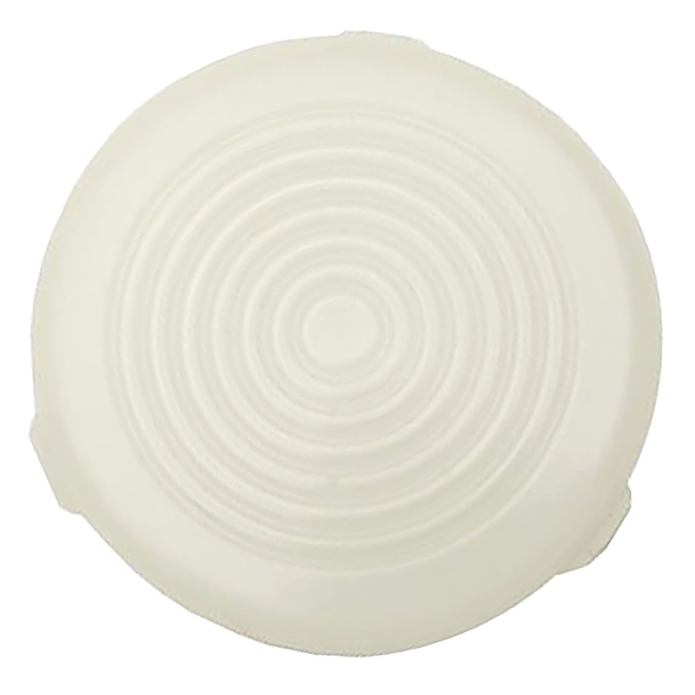 HOLDEN HK-HT-HG MONARO C PILLAR INTERIOR LIGHT LENS