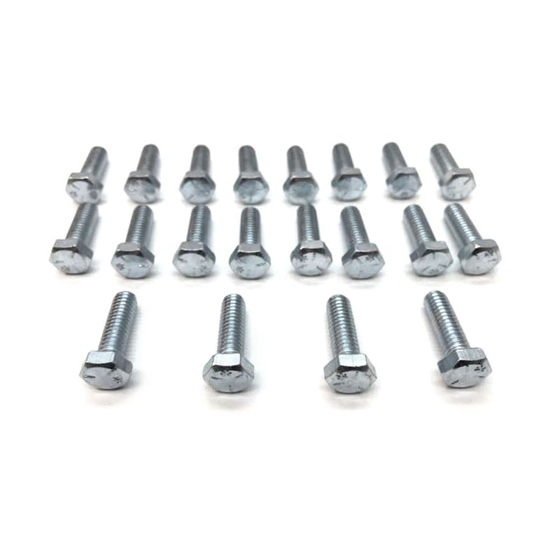HOLDEN HK HT HG GUARD BOLTS 20 PC