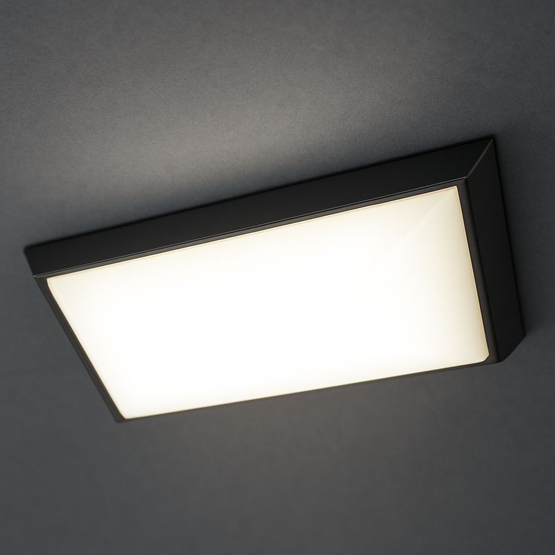 Interior Light Lenses