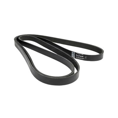 Dayco Polyrib Fan Belt Dayco Polyrib Fan Belt